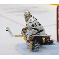 Wheeling Nailers goaltender Taylor Gauthier