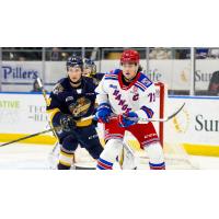 Kitchener Rangers' Bode Stewart in action