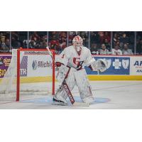 Grand Rapids Griffins goaltender Victor Brattstrom