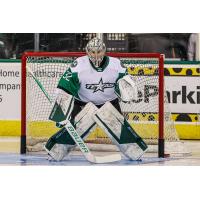 Texas Stars goaltender Matt Murray