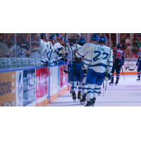 Wichita Thunder exchange high fives along the bench