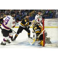 Wheeling Nailers' 8 SAMUEL TREMBLAY and TAYLOR GAUTHIER battle Reading Royals' JACOB GAUCHER and SAM STERNSCHEIN