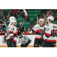 Belleville Senators' Cedric Pare and Ridly Greig celebrate win