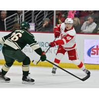 Iowa Wild's Tanner Kaspick Battles Grand Rapids Griffins' Jonatan Berggren