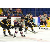 Wheeling Nailers battle the Reading Royals