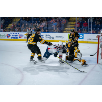 Springfield Thunderbirds battle the Providence Bruins