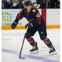 Knoxville Ice Bears' Andrew Bellant in action