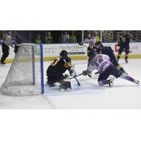 Worcester Railers' Jacob Hayhurst in action