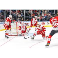 Grand Rapids Griffins in action