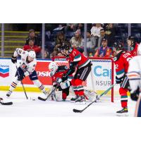 Kelowna Rockets in action against the Kamloops Blazers