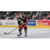 Grand Rapids Griffins defenseman Seth Barton