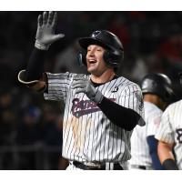 Somerset Patriots outfielder Elijah Dunham