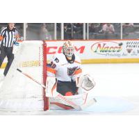 Lehigh Valley Phantoms goaltender Samuel Ersson