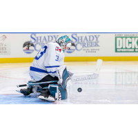 Wichita Thunder goaltender Strauss Mann