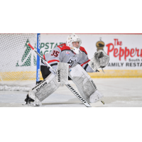 Goaltender Brandon Kasel with the Adirondack Thunder