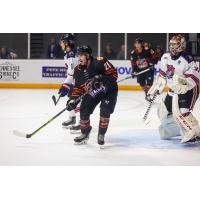 Knoxville Ice Bears' BRADY FLEURENT in action