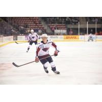 South Carolina Stingrays in action