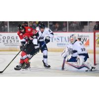 Worcester Railers' Myles McGurty and Ken Appleby battle Adirondack Thunder's Vladislav Mikhalchuk