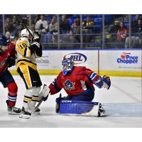 Springfield Thunderbirds' Vadim Zherenko Battles Wilkes-Barre/scranton Penguins' Drake Caggiula