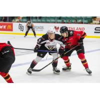 Vancouver Giants' Julian Cull and Prince George Cougars' Noah Boyko in action