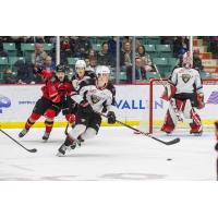 Vancouver Giants in action versus the Prince George Cougars