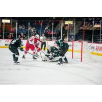 Zach Pochiro of the Allen Americans takes a shot against the Utah Grizzlies