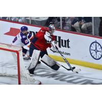 South Carolina Stingrays' Clay Stevenson Battles Shawn Szydlowski Of The Orlando Solar Bears