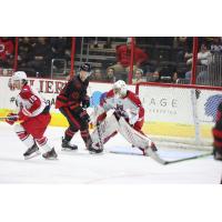 Allen Americans goaltender Luke Peressini faces the Cincinnati Cyclones