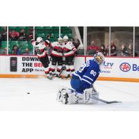 Belleville Senators celebrate win