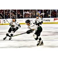 Utah Grizzlies' Joey Colatarci in action