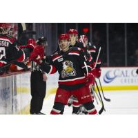 Grand Rapids Griffins Celebrate Win