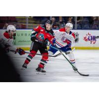 Kelowna Rockets' Andrew Cristall in action