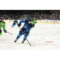 Jacksonville Icemen's Ben Hawerchuk In Action