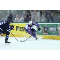 Texas Stars' Riley Barber battles Manitoba Moose' Leon Gawanke