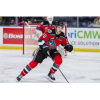 Kelowna Rockets assistant captain Andrew Cristall