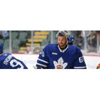 Goaltender Talor Joseph with the Toronto Marlies