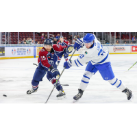 Wichita Thunder forward Mark Liwiski shoots against the Tulsa Oilers