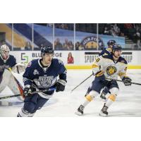 Worcester Railers battle the Norfolk Admirals