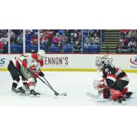 Utica Comets' Andreas Johnsson battles Belleville Senators' Kevin Mandolese