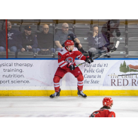 Rapid City Rush winger Brett Gravelle