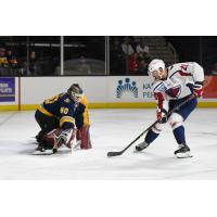 Atlanta Gladiators' Tyler Parks Versus South Carolina Stingrays' Andrew Cherniwchan