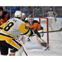 Lehigh Valley Phantoms' Pat Nagle in action