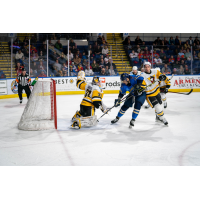 Springfield Thunderbirds vs. Wilkes-Barre/Scranton Penguins