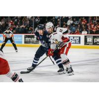 Grand Rapids Griffins' Joel L'Esperance battles Daniel Torgersson of the Manitoba Moose