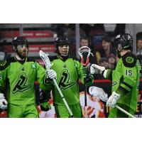 Saskatchewan Rush on game day