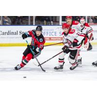 Kelowna Rockets left wing Andrew Cristall (left)