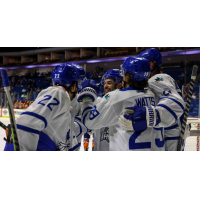 Wichita Thunder exchange congratulations after a goal