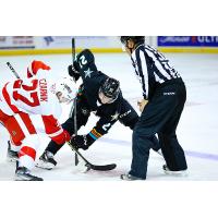 Grand Rapids Griffins center Austin Czarnik (left) faces off with the Texas Stars