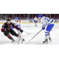 Indy Fuel's Christopher Cameron battles Wichita Thunder's Brayden Watts