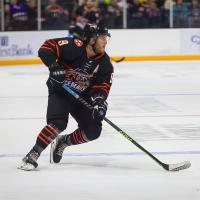 Knoxville Ice Bears' Dino Balsamo in action